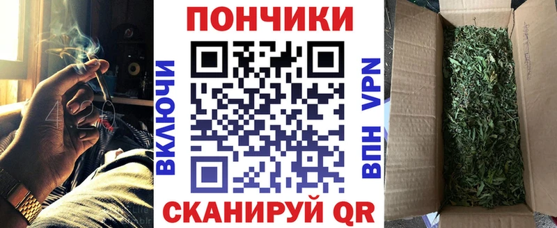 Канабис семена  Купить где  Волосово 